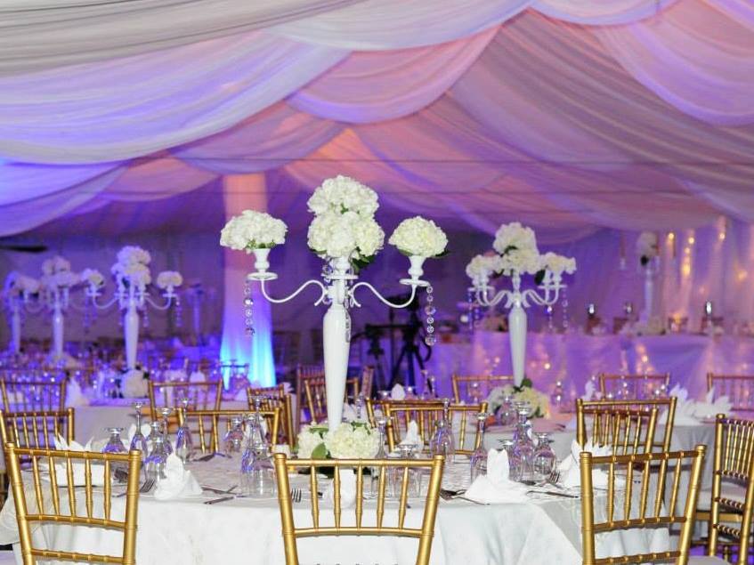 Event Rentals Planning and Services- Barbados